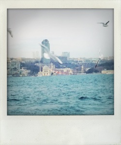 I love seeing this Mosque right on the Bosphorus with the "modern" city behind.